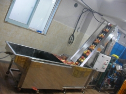 과일세척기,식품세척기,세척기