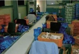 컨베이어 / 콘베이어 / 컨베어