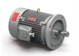 플랜지전동기 FLANGE TYPE 3-PHASE INDUCTION MOTOR