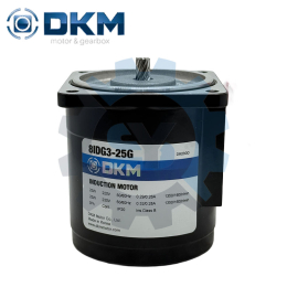 DKM 8IDG3-25G 25W AC 인덕션 모터 삼상 220V 50/60Hz