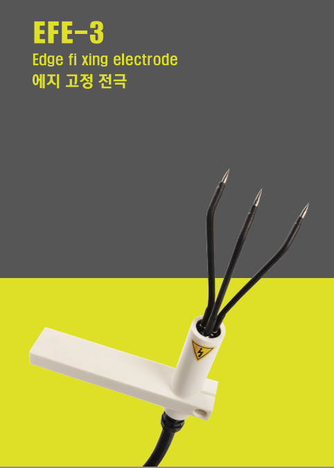 에지 고정 전극