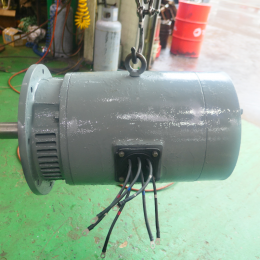 동력모터 30kw 4p