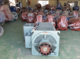 Hyosung High-Voltage Half-Closed Motor 500HP*4P*60HZ*3300V Product Image 3