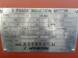 Hyundai High Voltage Motor 275KW*6P*60HZ*6600V Product Image 10