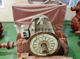 Hyundai New Vertical Motor 215HP*6P*60HZ*440V Product Image 3