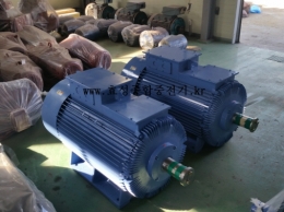 Hyundai wound motor 200KW*10P*60HZ*440V (40% ED) Product Image 5