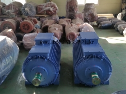 Hyundai wound motor 200KW*10P*60HZ*440V (40% ED) Product Image 6