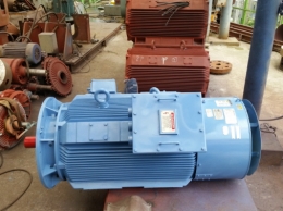 현대 버티컬 모터 310KW*4P*60HZ*460V