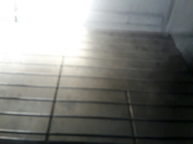 이미지설명