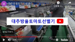 대추 방울토마토선별기 영상 보기