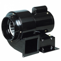 a small fan