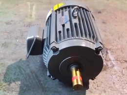 모터/모타/MOTOR/AC모터/전동기/삼상모터/삼상유도전동기/저압삼상유도전동기/LG모터 30HP 제품 이미지 4