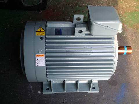 모터/MOTOR/AC모터/삼상유도전동기/LG모터/125HP