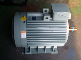 모터/MOTOR/AC모터/삼상유도전동기/LG모터/125HP