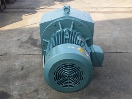 V.S모터/V.S MOTOR/동양V.S모터/100HP