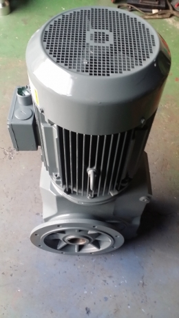 KAF106 DV200L-4/TF 감속기/기어드모터/SEW중공축감속기/V.T 30HP