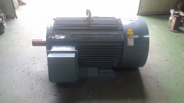 모터/MOTOR/삼상유도전동기/LG모터/215HP 4P