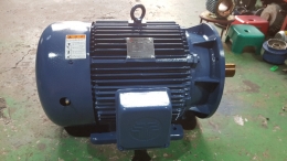 모터/MOTOR/삼상유도전동기/효성모터/50HP