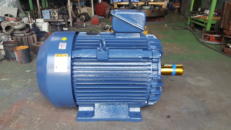 모터/MOTOR/삼상유도전동기/효성모터/60HP 제품 이미지