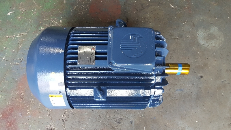 모터/MOTOR/삼상유도전동기/효성모터/60HP 제품 이미지