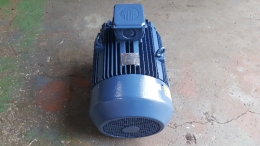 모터/MOTOR/삼상유도전동기/효성모터/60HP 제품 이미지 3
