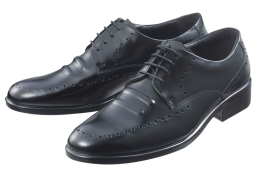 Regal work shoes, safety shoes, work shoes