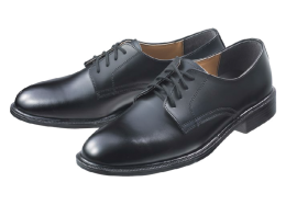 Special police, safety shoes, work shoes