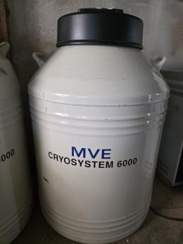 액체질소통 3대 ( MVE Cryosystem 6000 / 4000 / 2000 )