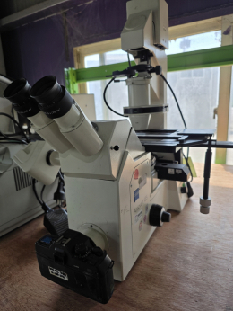 Carl Zeiss Axiovert135 fluorescence Microscope 도립 형광 현미경