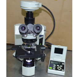 3안현미경 Olympus BX51 Microscope