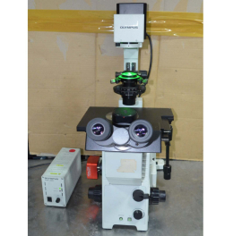 위상차 현미경 Olympus IX71 Microscope