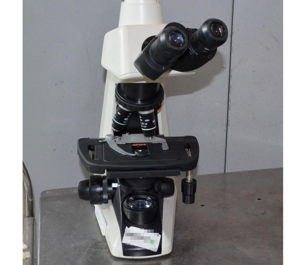 Nikon Eclipse E200 Microscope | [중고] Nikon Eclipse E200 Microscope, 자동화 ...