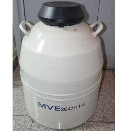 질소통 MVE XC47,11-6 Liquid Nitrogen Shipper