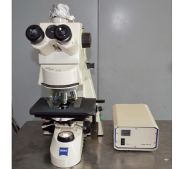 Zeiss AxioSkop-40 Fluorescence Microscope
