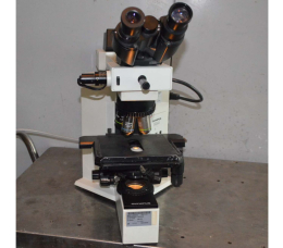 Olympus BX40 Microscope
