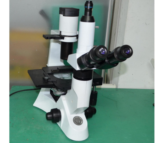 삼안 도립현미경 Inverted Microscope