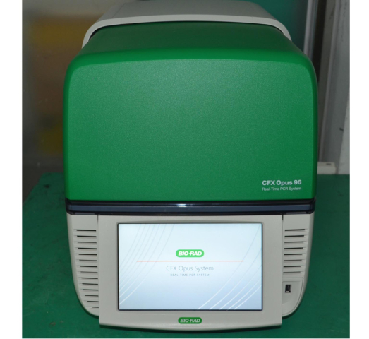 BIO-RAD CFX Opus 96 Realtime PCR