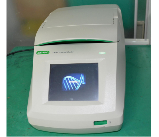 BIO-RAD T100 PCR Thermal Cycler