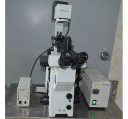 Olympus IX71 Fluorescence Microscope