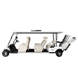 [Sunbolt] 6-Seater Full-Option Limousine Cart