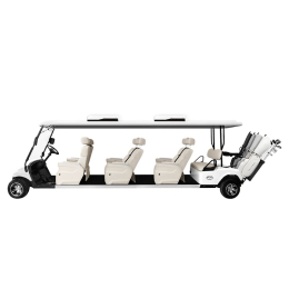 [Sunbolt] 8-Seater Full-Option Limousine Cart