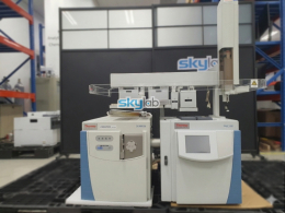 Thermo GC/MS/MS TSQ 8000 Evo/Trace 1310(2017yr)