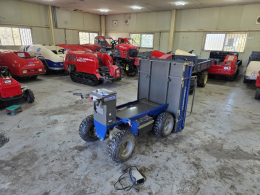 Donggwang Tech Electric Transport Cart