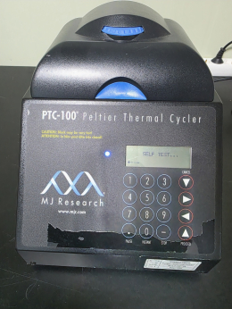 MJ Research PTC-100 Peltier Thermal Cycler