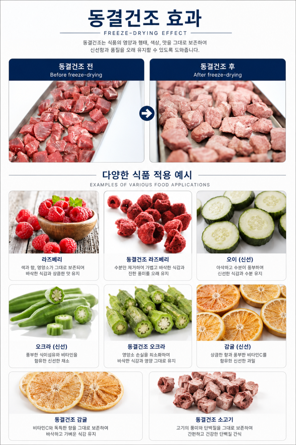우성테크 FK-18 대형 진공 동결건조기 20kg 7단 트레이 제품 이미지 5