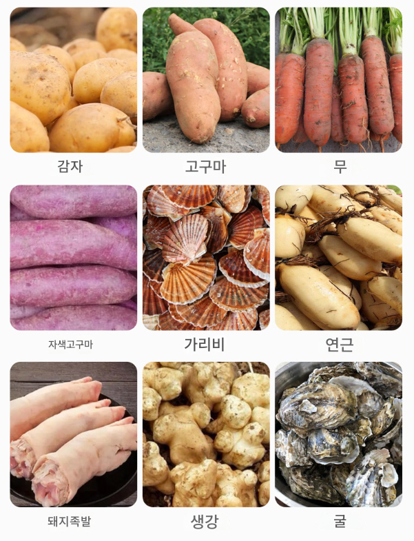 조개 세척기 1톤 대용량 갑각류 클리너 새우 식당 수산물씻는기계 업소용 바지락 칼국수 가게 식당 어패류 굴 석회 전복 해감 제품 이미지 5