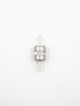 EATON Bussmann 이튼 부스만 퓨즈 FWA-300B휴즈
