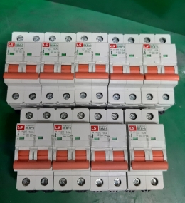 LS BKM-B 10A 배선용찬단기 10A 2극 220V