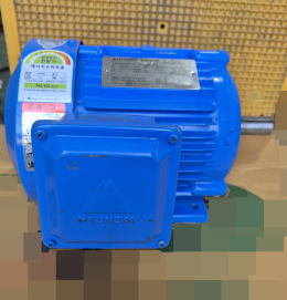 현대 1마력 6극 모타  0.75KW 6P
