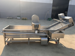 Cabbage washing machine